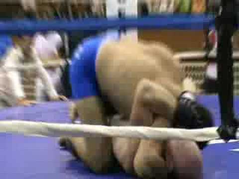 WUFC World Ultimate Full Contact Championship 2008