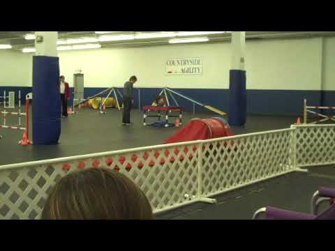 Jack - 11.07.2009 Std