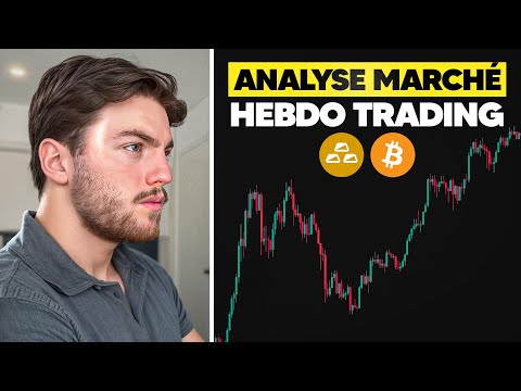 MARKET CRASH UNDERWAY! Weekly Analysis (Gold, Bitcoin)