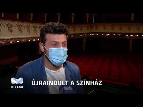 Videó előnézet