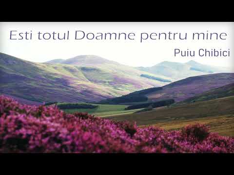 Album (4) Ești totul Doamne - Puiu Chibici