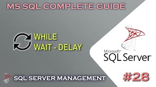 MS SQL | While and Wait - Delay #28