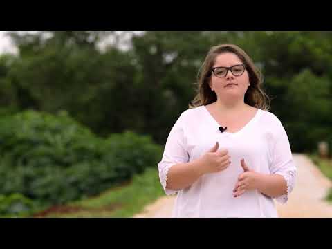 O que é Invexogeração 21