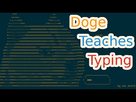 doge teaches typing