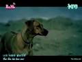 Sea of Love (english sub) 