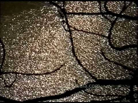 Sacred water of the holy river Ganges