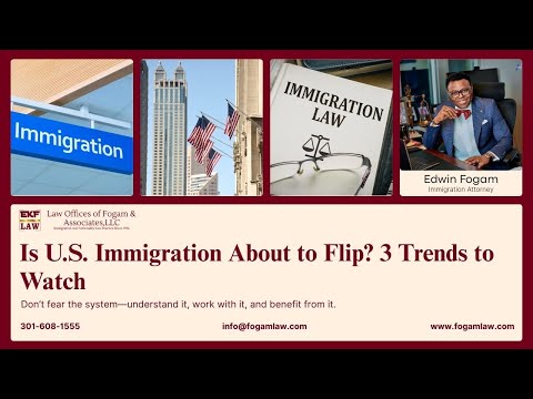 Is U.S. Immigration About to Flip? Trends to Watch