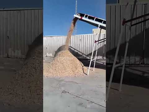 220KW 2113 Industrial Wood Recycling Machine Drum Wood Chipper