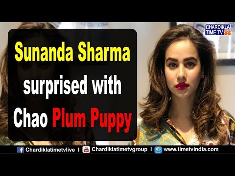 Patake Singer Sunanda Sharma Surprised with Chao Chao Plum Puppy