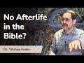 Blood Breath Soul No Afterlife In The Hebrew Bible With Dr Yitzhaq Feder