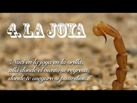 La Joya Spok ft Celo ft Alias el Cosme