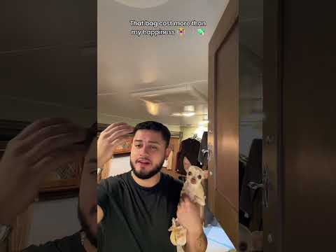 Only The Best For Emmy 😊❤️ #dogshort #dog #doggo #dogs #pet #pets #chihuahua #trashygas #funny