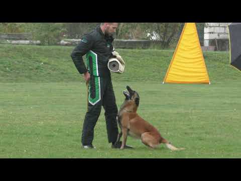 MM MSKS Zbraslav 2019 - Veronika Barbiriková - Dodge Betkin dvor - obrana/defense