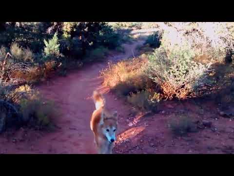 2017-10-06 Big Park Loop