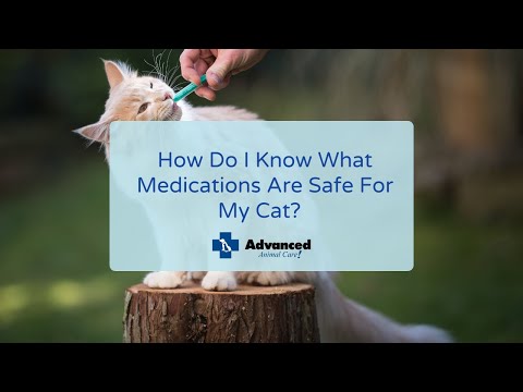 How Do I Know What Medications Are Safe For My Cat?