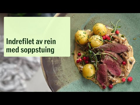 Reinsdyrfilet med soppstuing | MatPrat