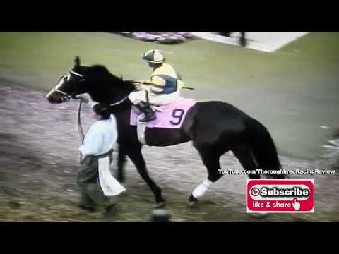 1992 FLORIDA DERBY SERIES LEG THREE The Preview Stakes