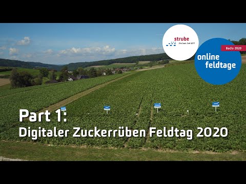 Feldtage online 2020 Part 1: Digitaler Zuckerrüben Feldtag 2020
