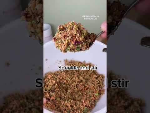 Recipe Parrot CHOP with us! Tutorial #birds #health