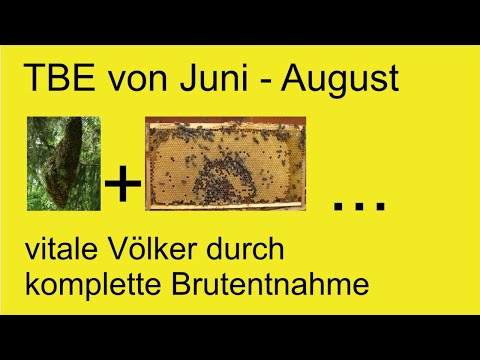 , title : 'TBE (totale Brutentnahme) - Zeitpunkt, Durchführung, Randbedingungen ...'