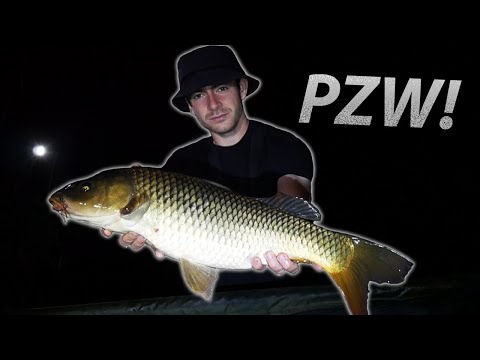 CARP SIT FOR THE PZW!