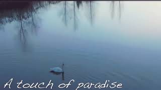 A Touch Paradise ( John Farnham )