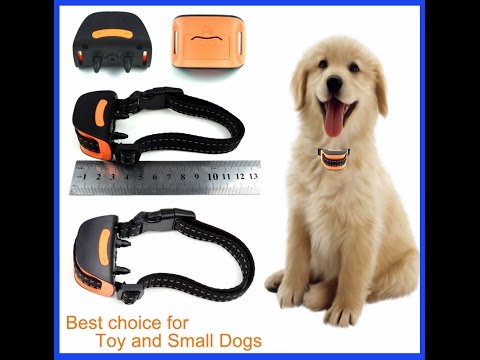Small Dog Bark Collar under 10 Pounds No Shock | Amazon.com