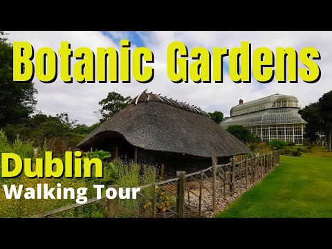 The National Botanic Gardens of Dublin | Nature Walk, Dublin Virtual Tour [4K]