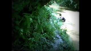 preview picture of video 'Bass Fishing in Millcreek'