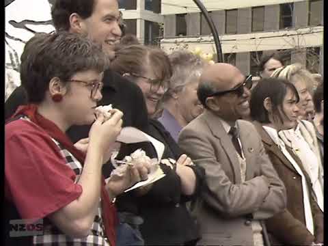 NZ On Screen: Someone Else's Country - MMP referendums in NZ