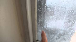 My frozen windows at home