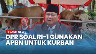 DPR Sebut Bantuan Hewan Kurban Prabowo dari APBN Sah dan Wajar, Sebut Presiden Sebelumnya Juga Sama