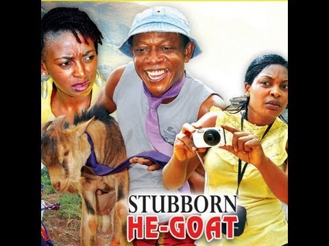 Stubborn He Goat 1