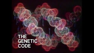 The World of Chemistry: The Genetic Code