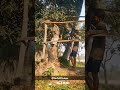 Day 2 Outdoor Kitchen Build Timelapse Elaichi Original Offgridkitchen Elaichikitchen Elaichi