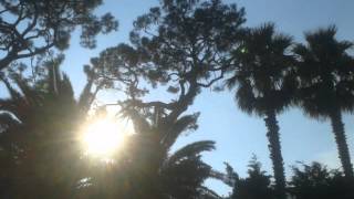 Grady Champion Lonesome Bedroom