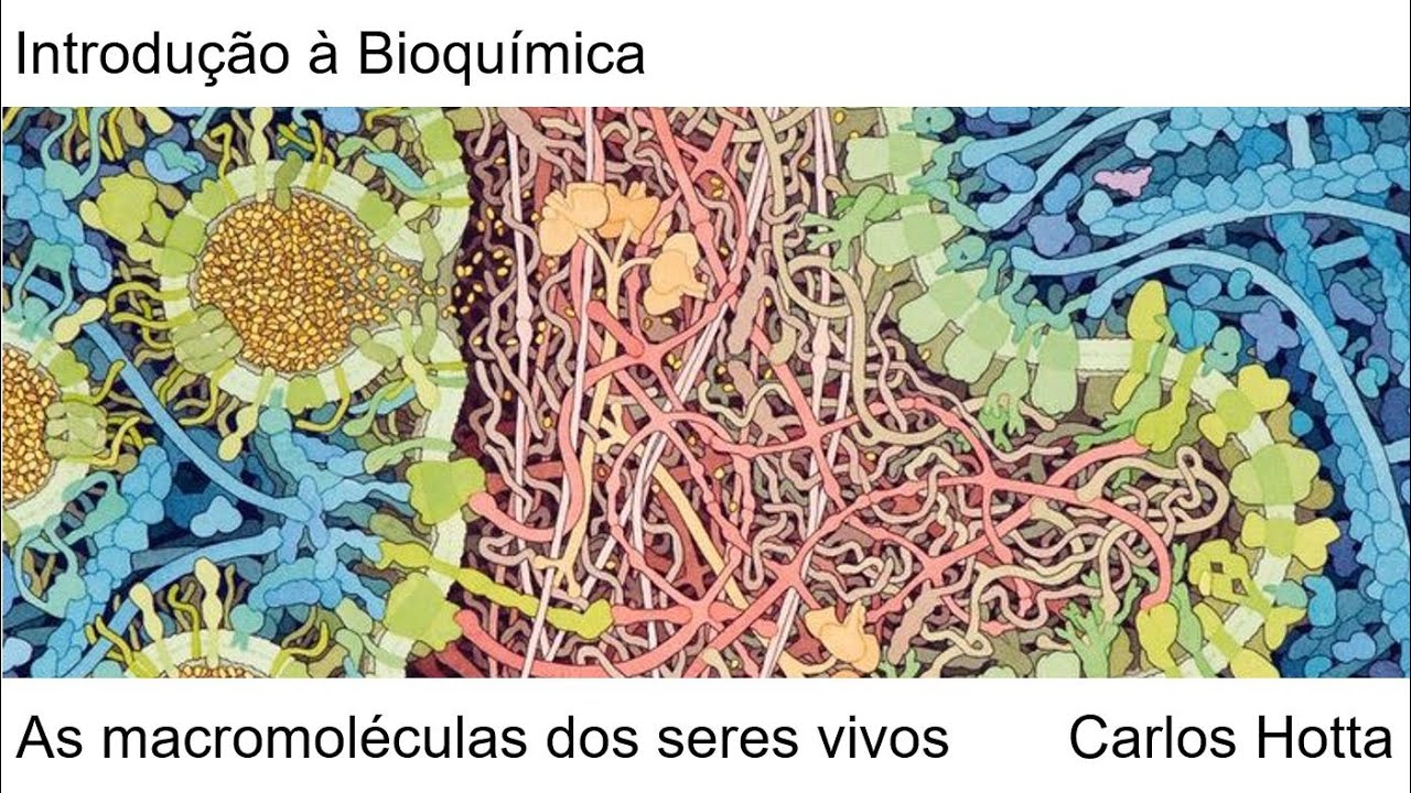 As macromoléculas dos seres vivos