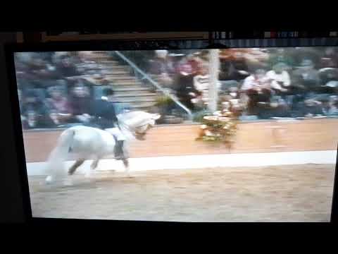 Spartan v. Servus-Gotthard