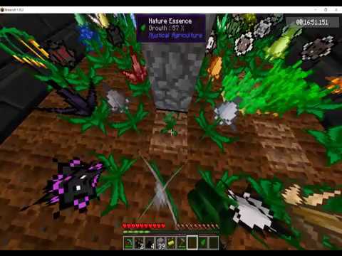 Let's Speedrun FTB Skyfactory Challenges [1] - 3:17:24.007