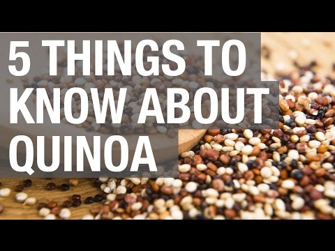 download lagu mp3 mp4 Quinoa Vs Chia, download lagu Quinoa Vs Chia gratis, unduh video klip Quinoa Vs Chia