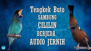 Download lagu Tengkek Buto sambung Cililin, Audio Jernih Berjeda mp3 Download lagu Tengkek Buto sambung Cililin, Audio Jernih Berjeda mp3
