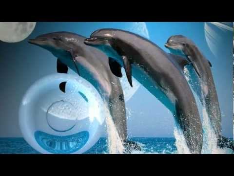 "El delfin azul" - Fausto Papetti