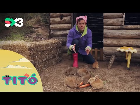 Excursió amb conills | Titó