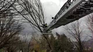 maltempo-avellino-ecco-le-immagini-dei-rami-caduti