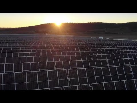 Warwick Solar Farm