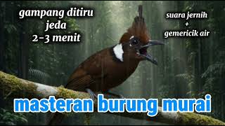 Download lagu SUARA JERNIH!!!! BURANG CILILIN DURASI PANJANG https://youtube.com/@bolangsf24?si=zTAj2kiEpgGJ4Ub9 mp3 Download lagu SUARA JERNIH!!!! BURANG CILILIN DURASI PANJANG https://youtube.com/@bolangsf24?si=zTAj2kiEpgGJ4Ub9 mp3