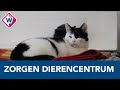 Haags Dierencentrum maakt zich zorgen over de toekomst