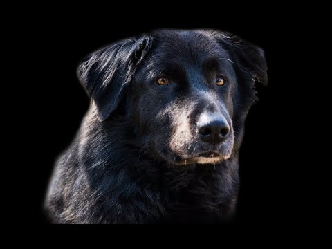 Rheinradweg 2020 Tag 5