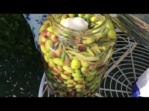 Nonna Franca Preserving Green Olives