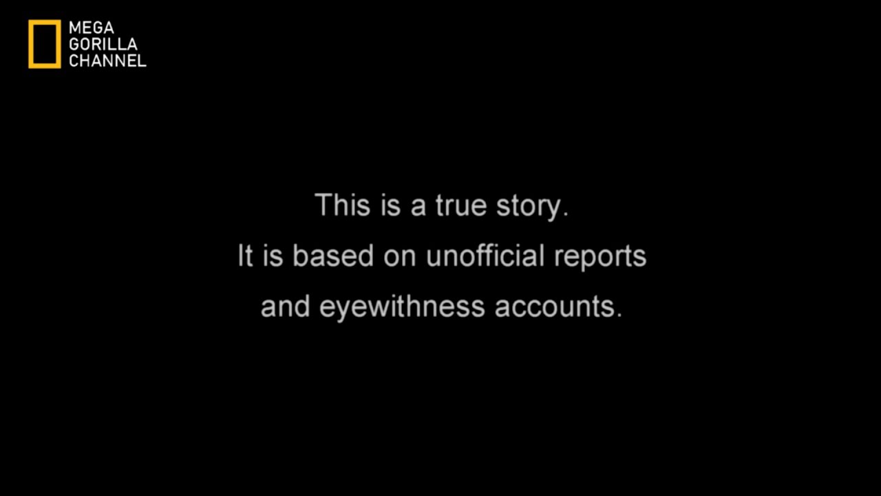 【懺悔】RCラジコン飛行機を作ろう！の録画データを全ロスしたので、当時の編集データを供養。